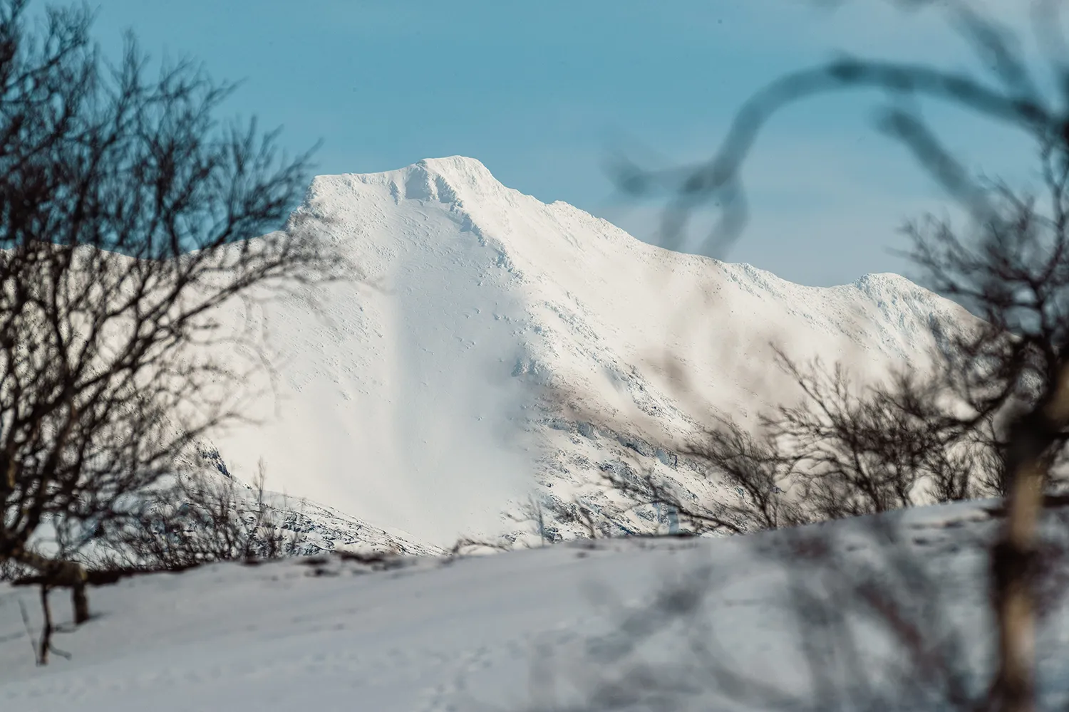 Foto for Tydal kommune