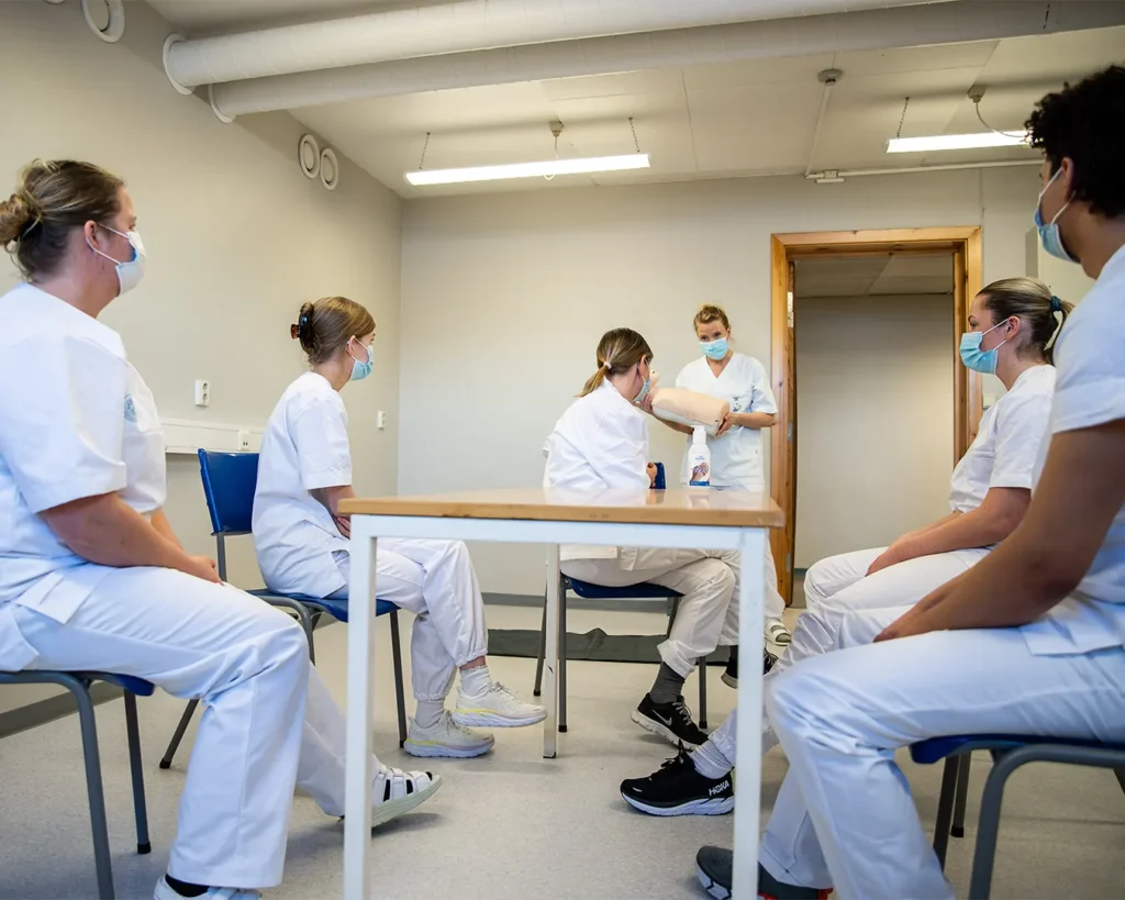 Tynset Studie- og Høgskolesenter — Helhetlig merkevarebygging og innholdsproduksjon for høyere utdanning i Nord-Østerdalen, bilde 7