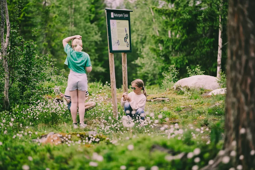 Tydal kommune — Videodokumentasjon av livet i en allsidig fjellkommune, bilde 6