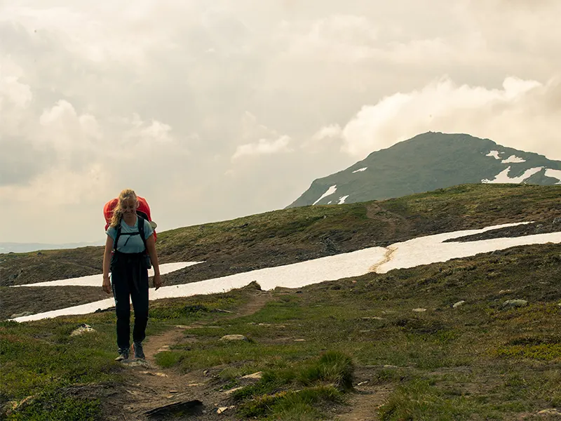 Nasjonalparkstyret — Foto for en av Norges vakreste nasjonalparker, bilde 5