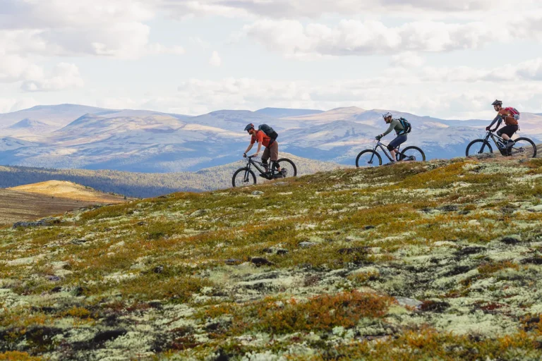 Foto for Urørt Ski- og Sykkeleventyr